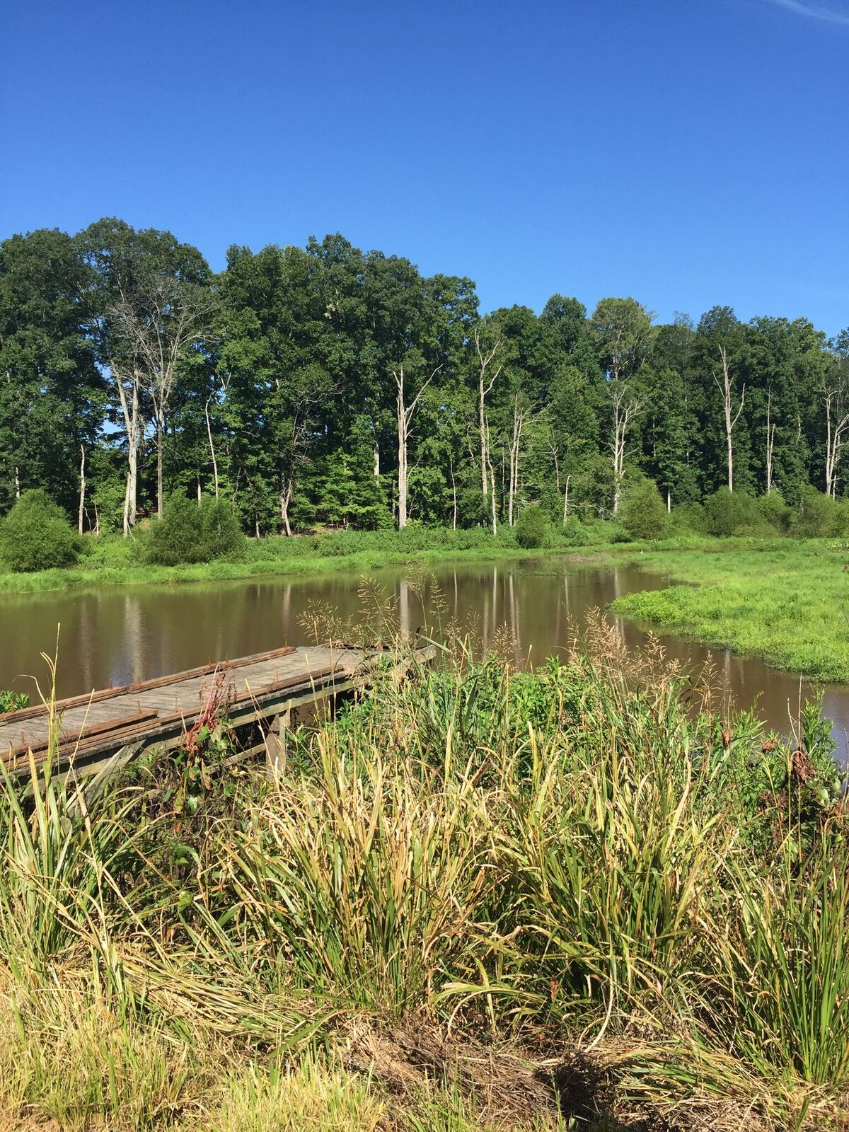 Louisiana 4-H’ers place third at national wildlife competition